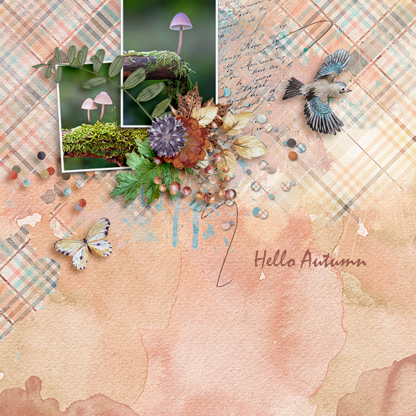 Hello Autumn