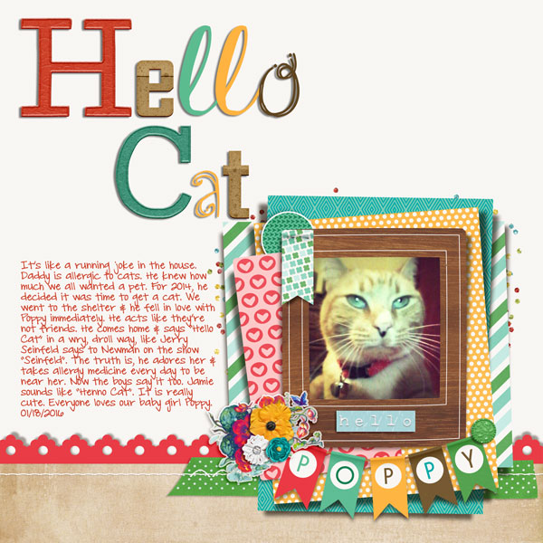 Hello Cat