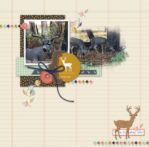 Hello Deer