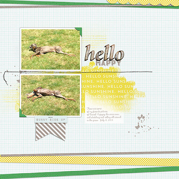 hello happy