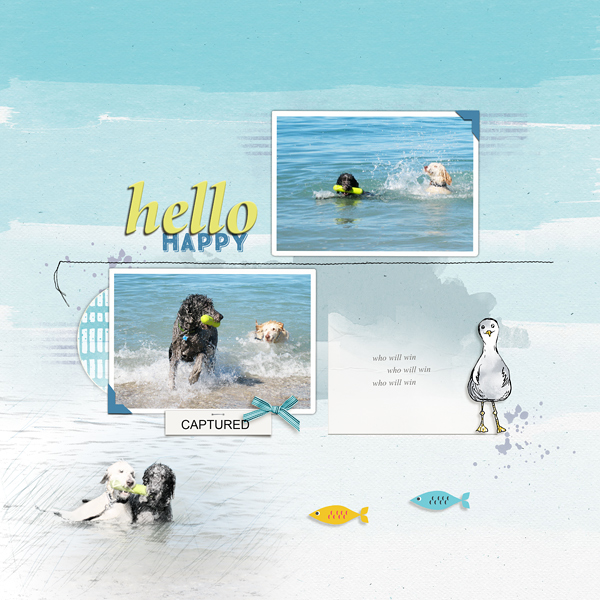 Hello Happy