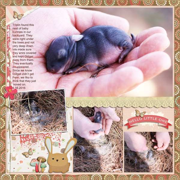 Hello Little One
