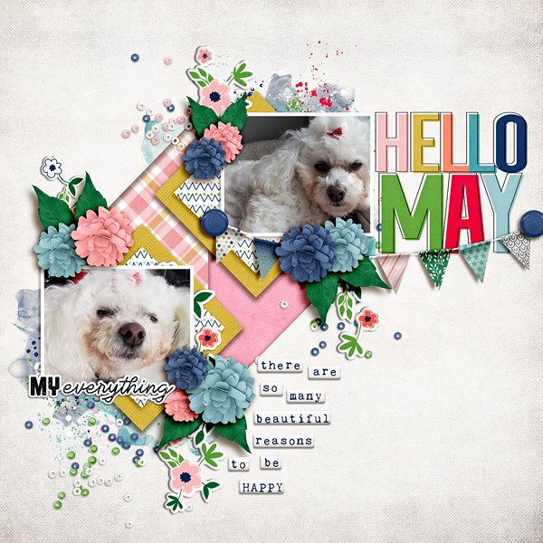Hello May