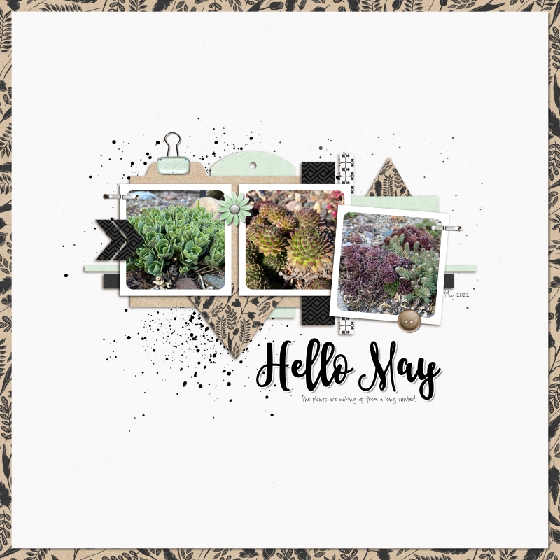 Hello May