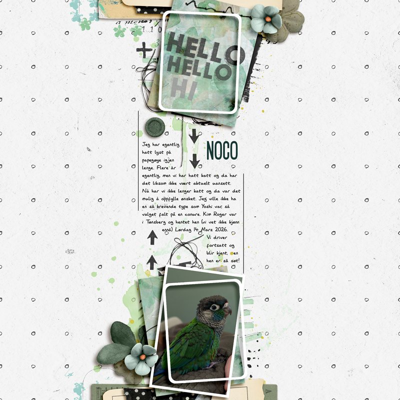 Hello Noco