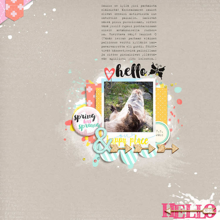Hello Otter