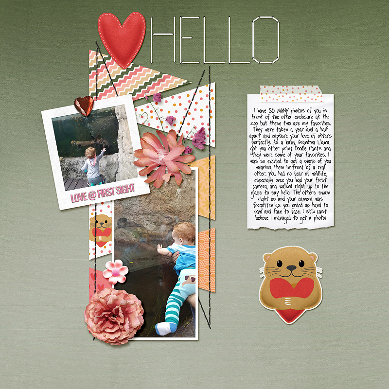 hello otters