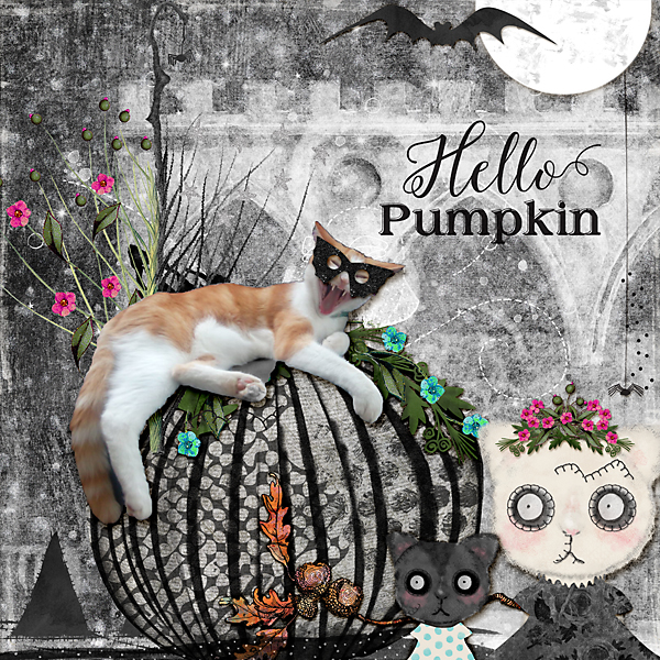 Hello pumpkin