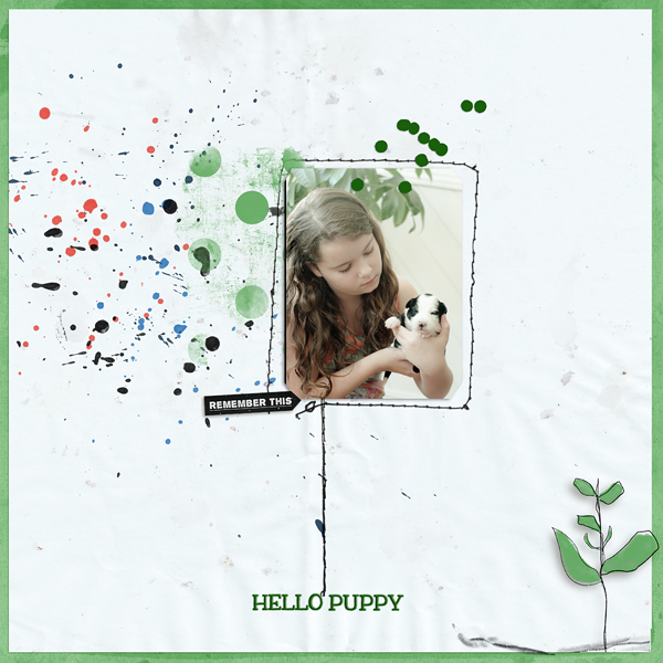 Hello Puppy