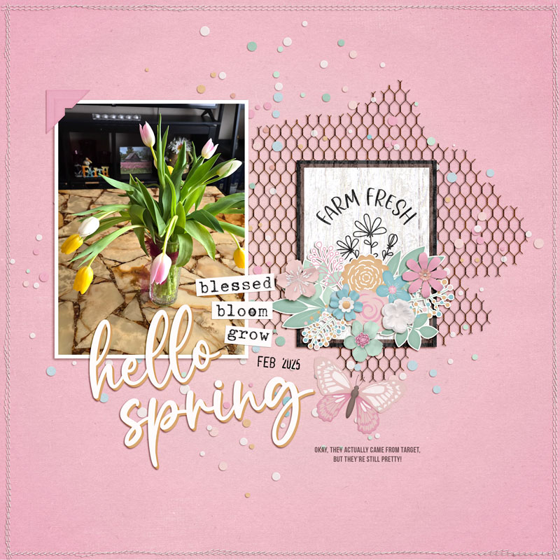 Hello-Spring-2025
