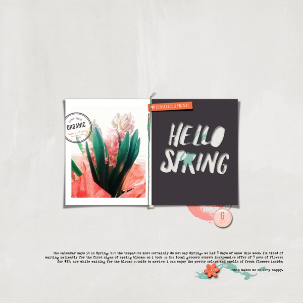 hello spring