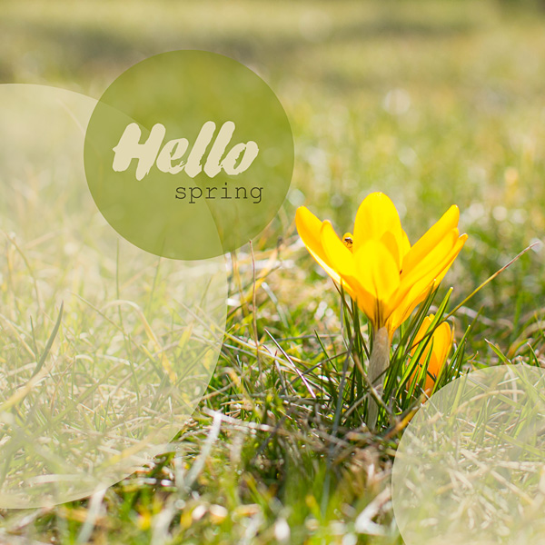 Hello, Spring!