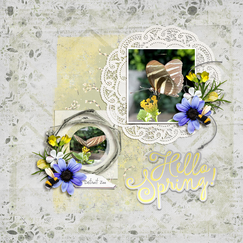 hello spring