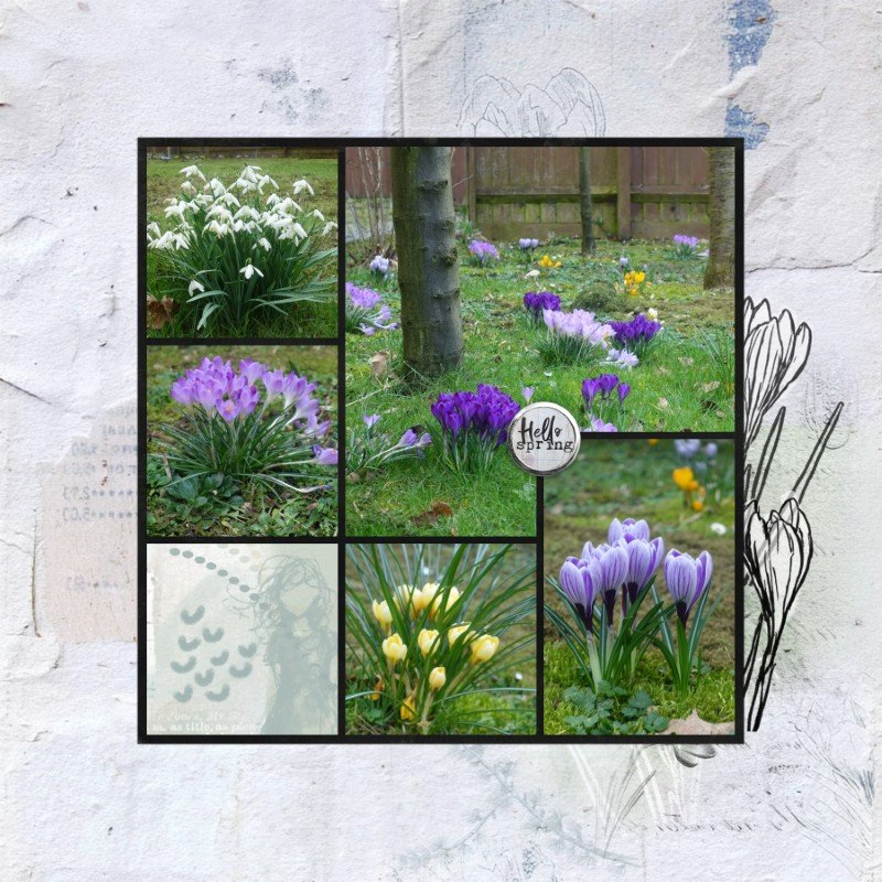 Hello Spring