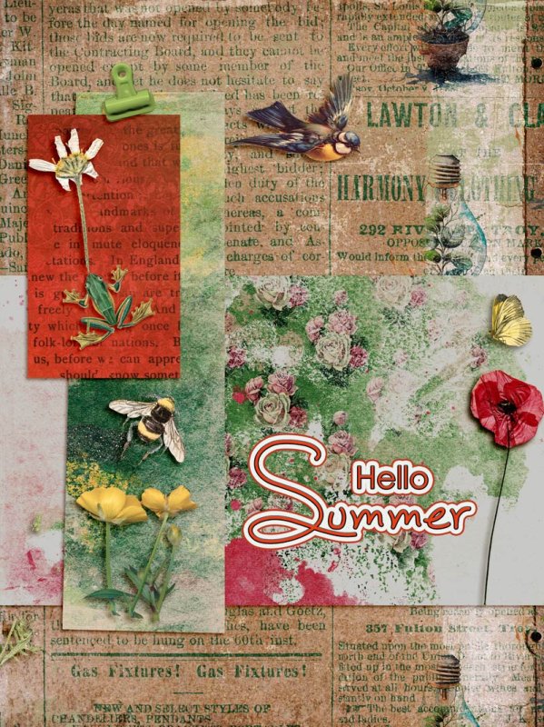 Hello Summe
