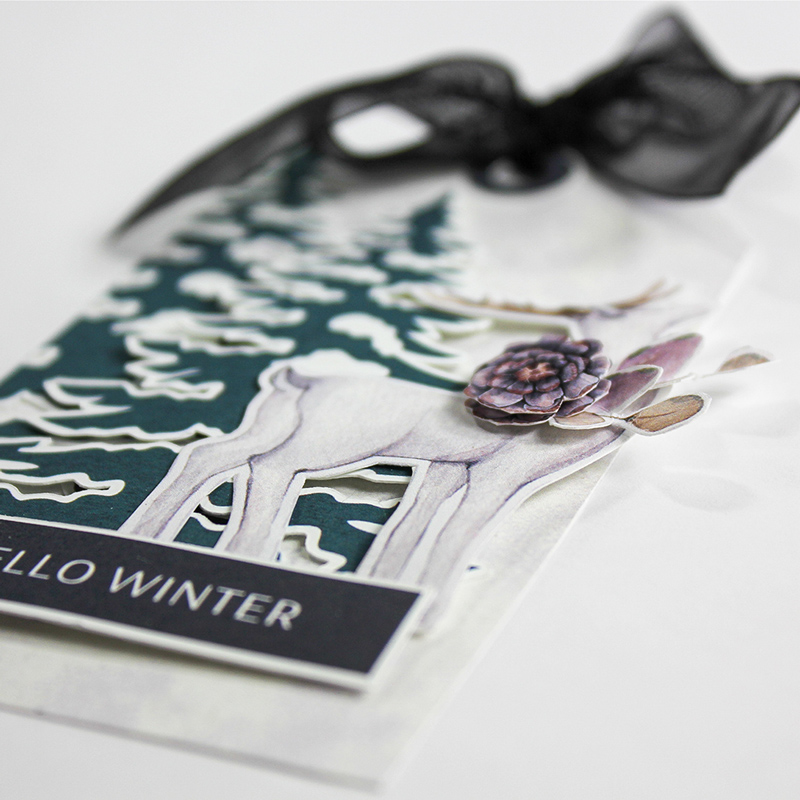 Hello Winter (close up)