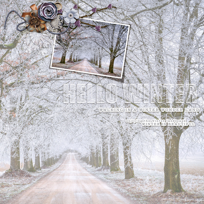Hello-winter