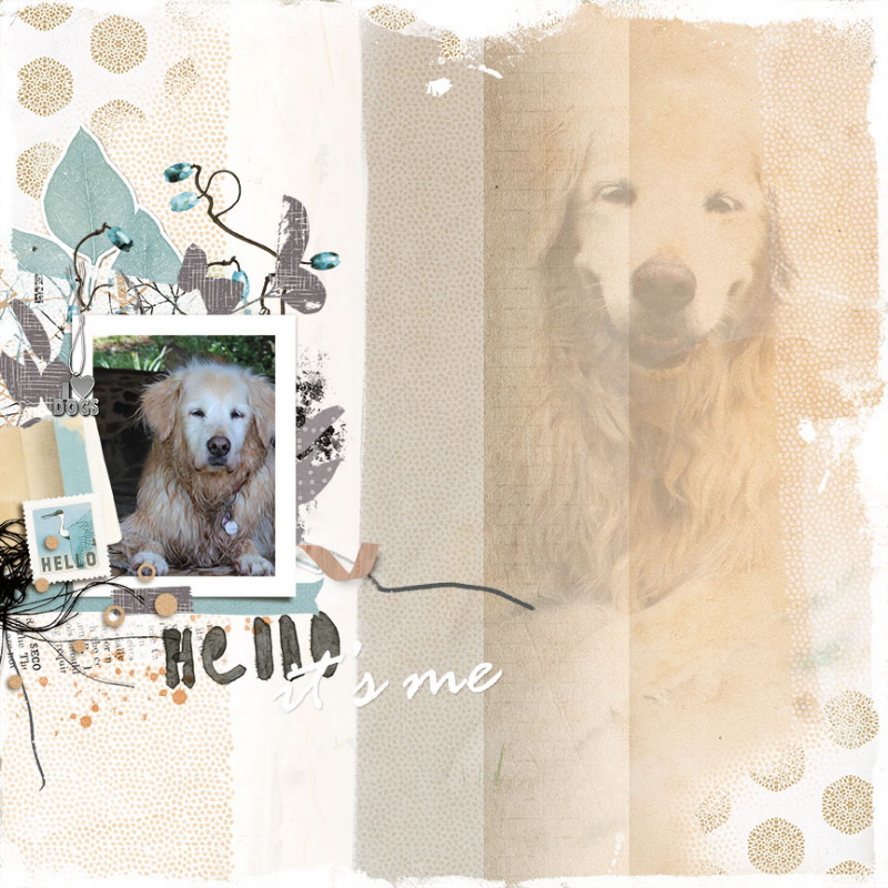 Hello_itsme