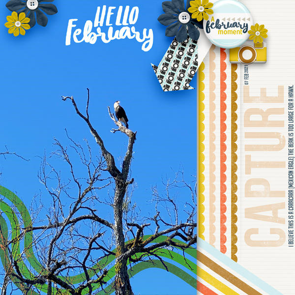 HelloFebruary