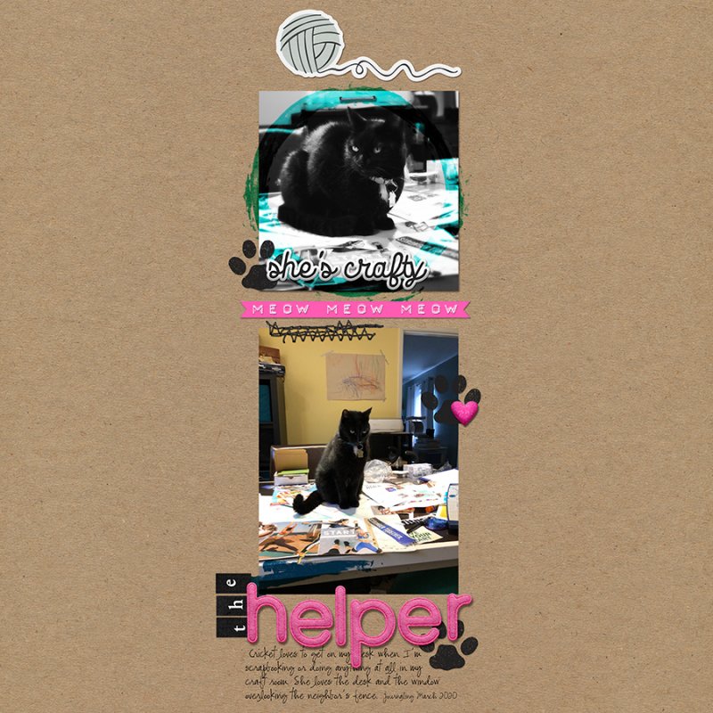 Helper032020SC