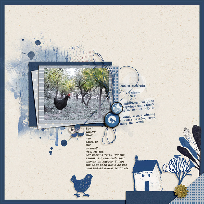 Hen