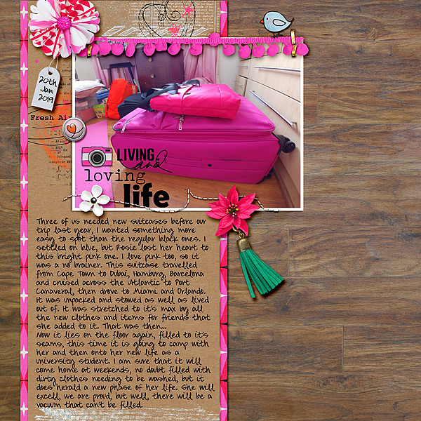 Her Pink Suitcase