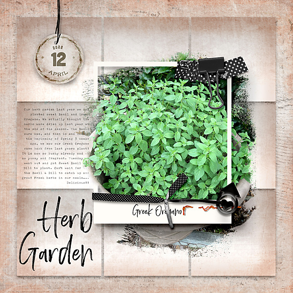 Herb Garden