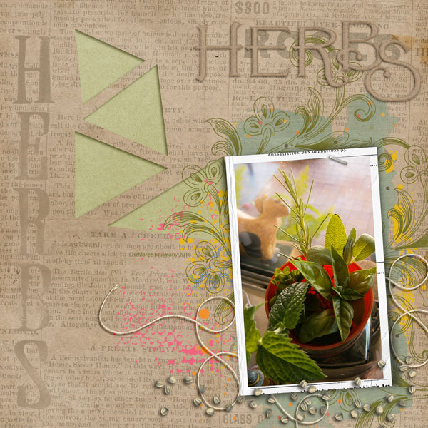 Herbs-MOC #4