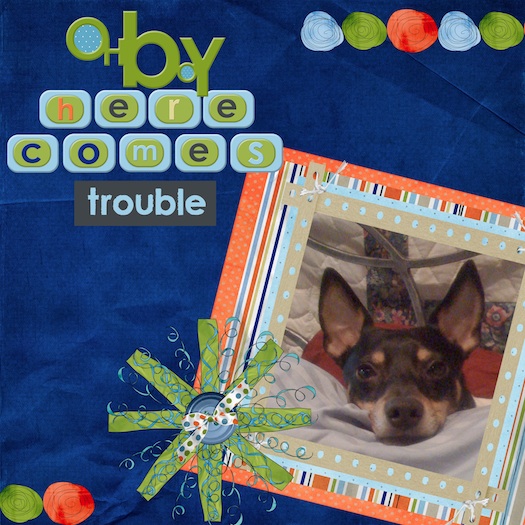 Here Comes Trouble
