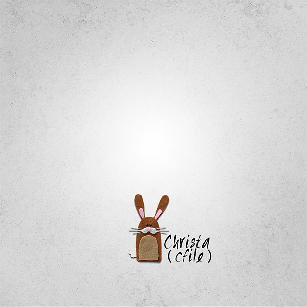 Here is my bunny