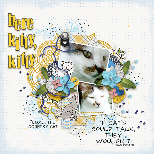 Here Kitty, Kitty