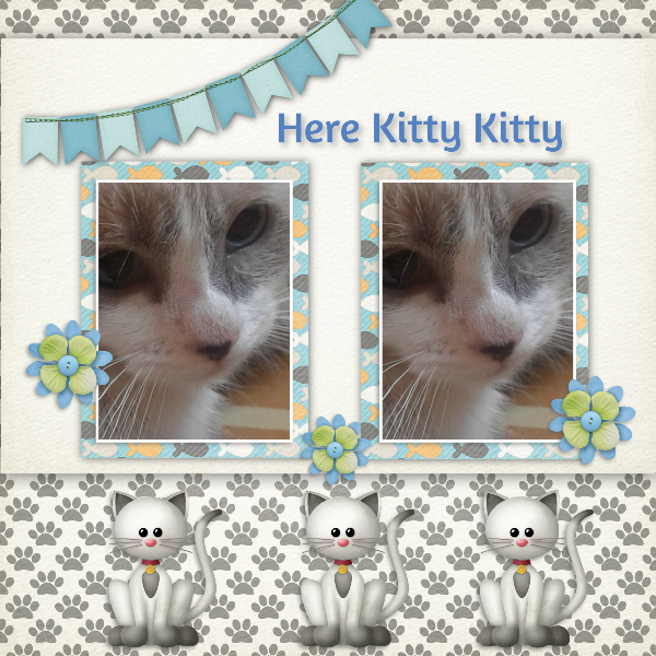 Here Kitty