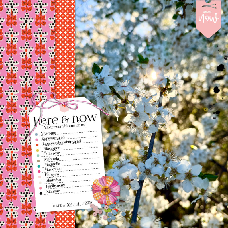 Here & Now