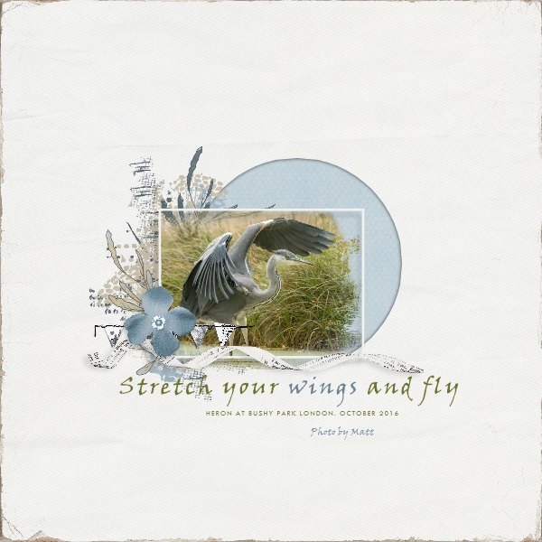 Heron