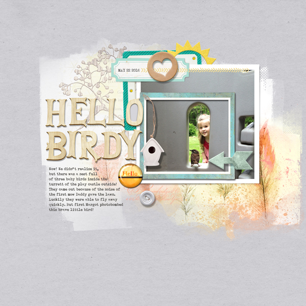 Hey Birdy