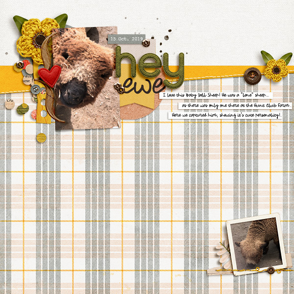 Hey Ewe