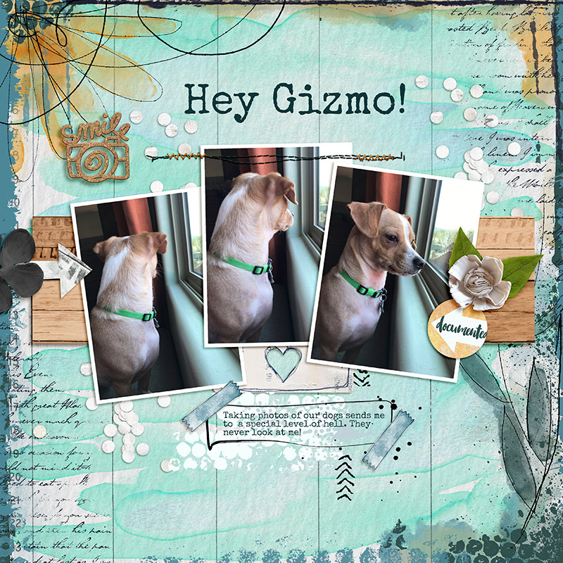 Hey Gizmo!