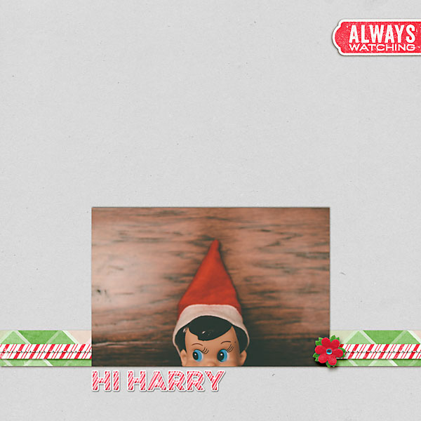 hi Harry