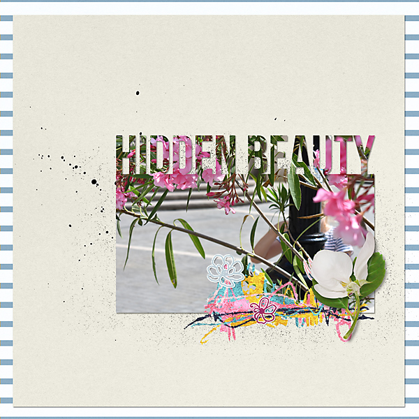 Hidden Beauty  -Cropped/Hidden Photo as Title