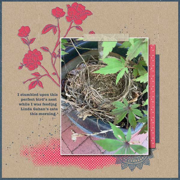 Hidden-Nest