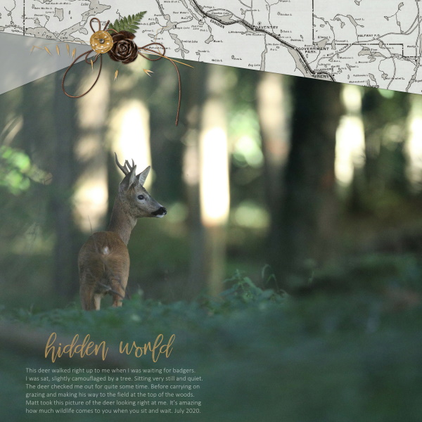 Hidden World