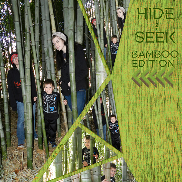 Hide&Seek