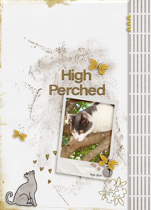 High Perched