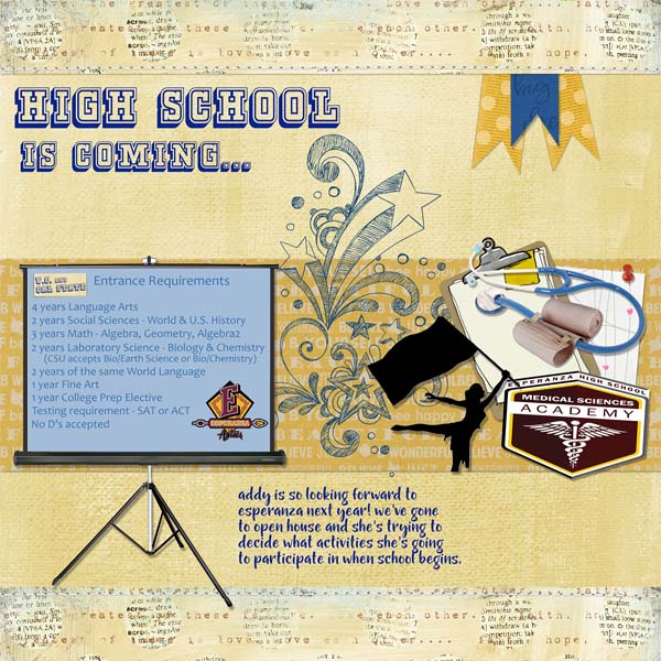 High School Web