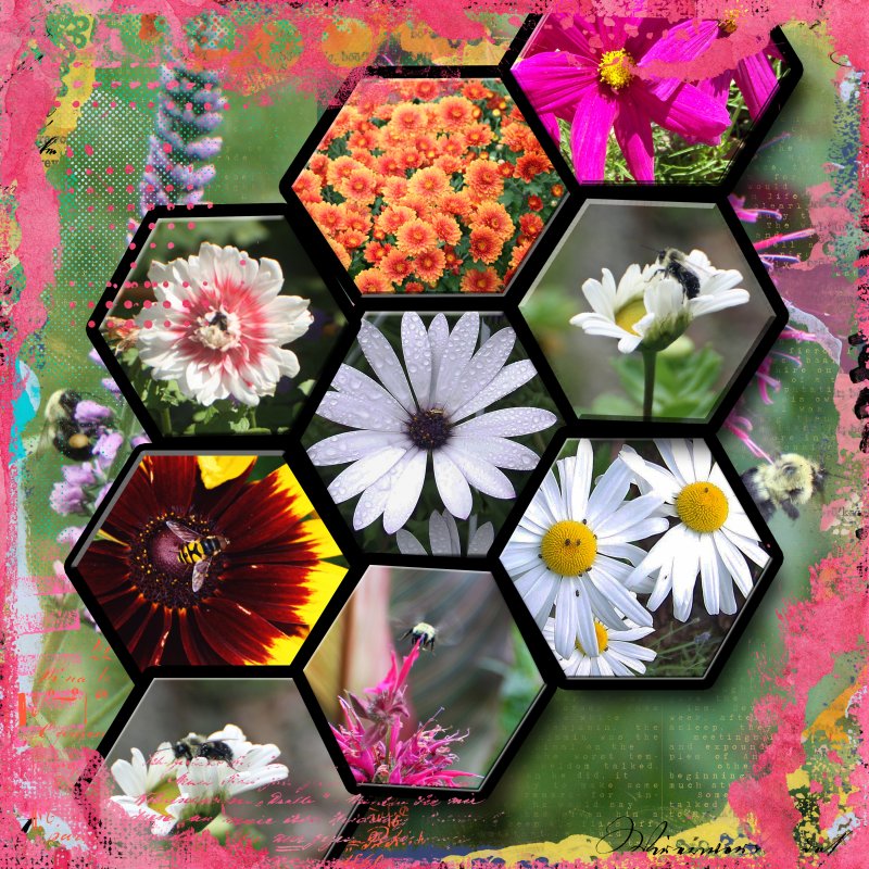 Highlight Flowers & bees.