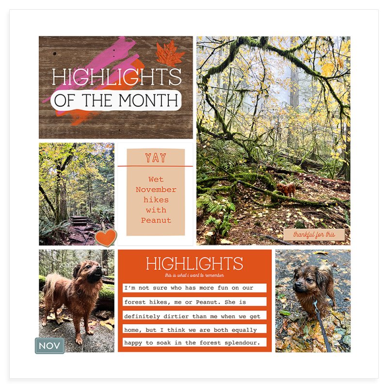 Highlights of November
