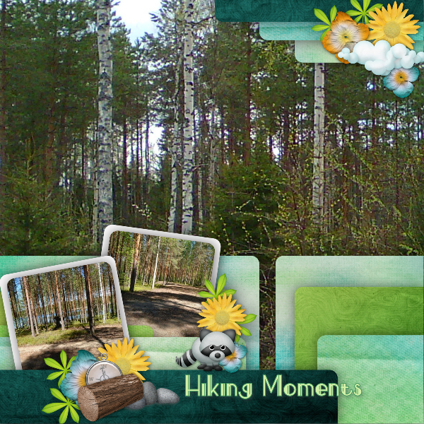 Hiking moments