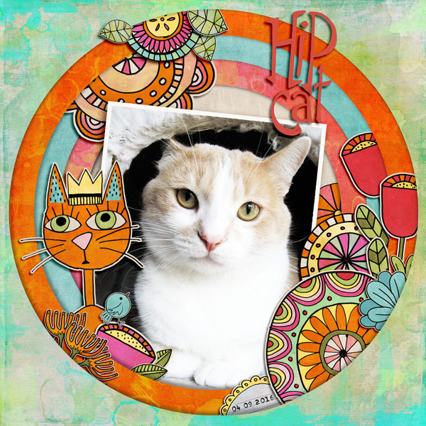 Hip Cat