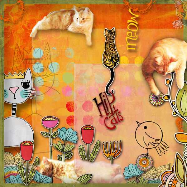Hip Cats