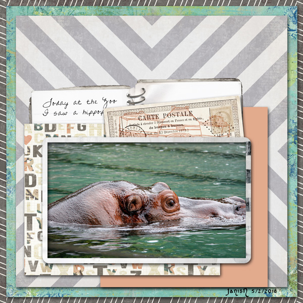 Hippo - May Challenge